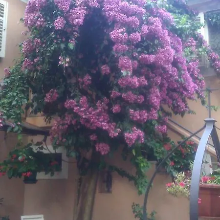 Maria With Swimming Pool Apartment Opatija